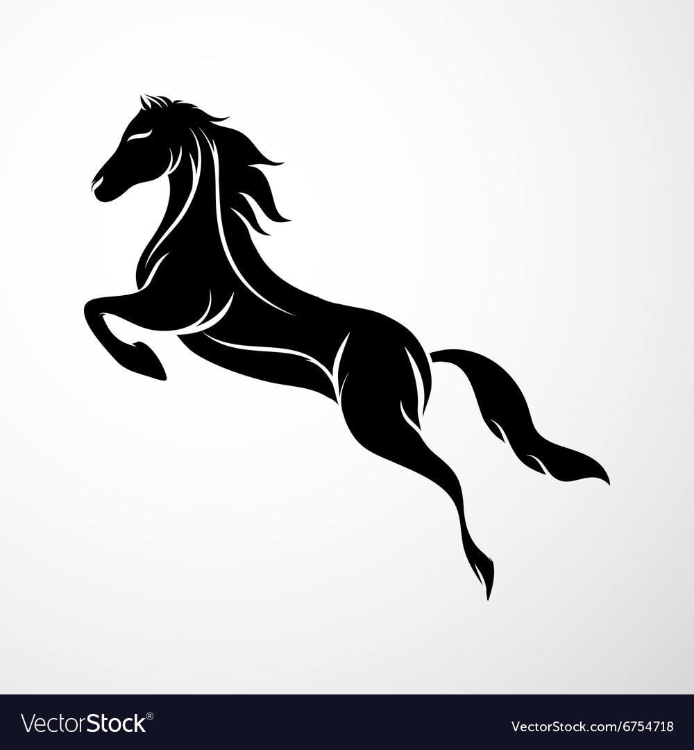 Horse management platform screenshot
